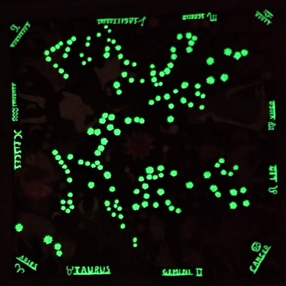 eeBoo ZODIAC Glow in the Dark Jigsaw Puzzle 1000 pieces - Picture 9 of 9